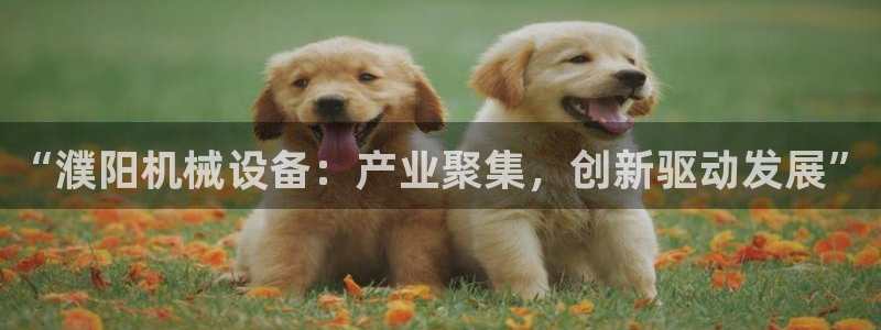 九游会游戏平台有哪些