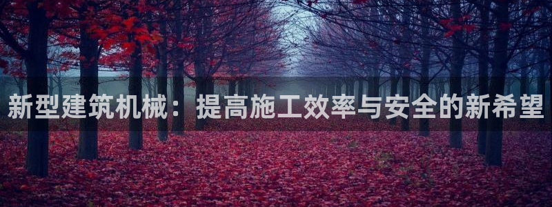 九游会a?g：新型建