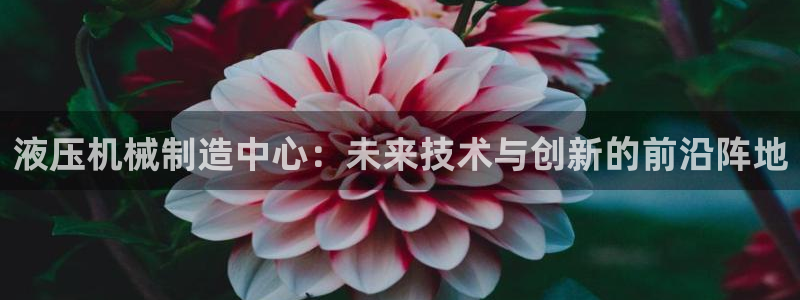 j9九游会游戏