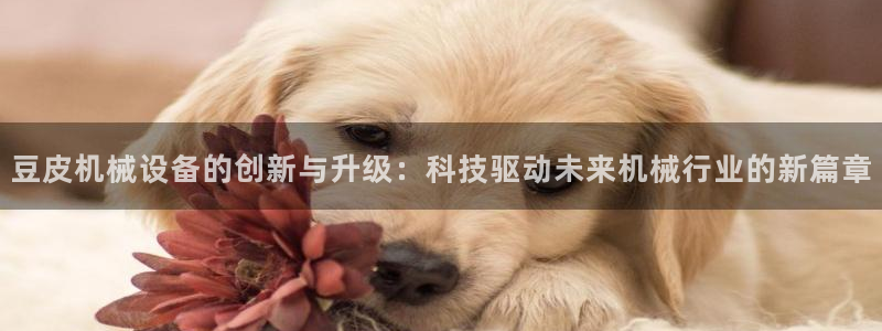 九游会 ag：豆皮机