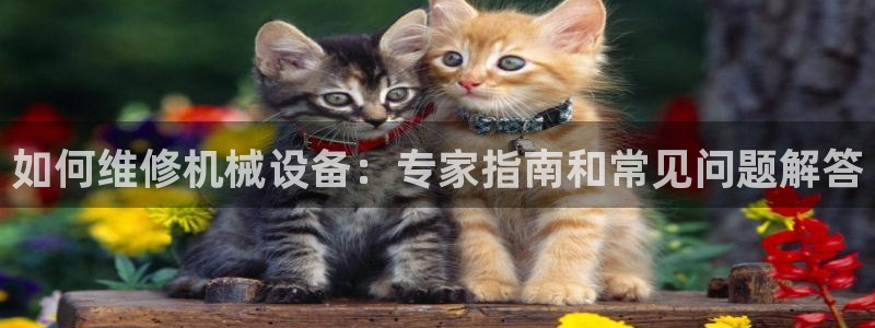j9九游会网址