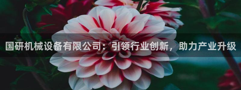 九游会国际厅有限责任公司