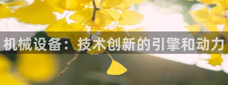 ag九游会官网网址