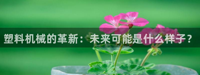 九游会app官方下载