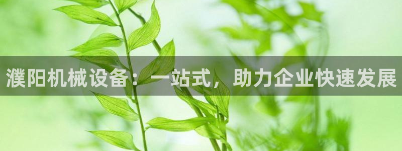 九游J9官网登录入口