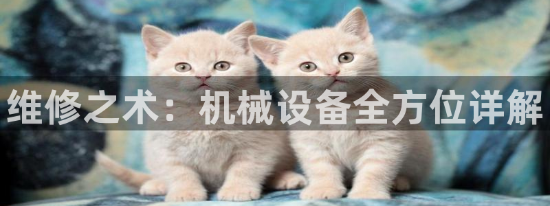 j9九游会官方登录
