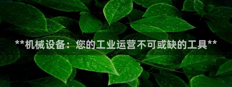 九游会集团货币
