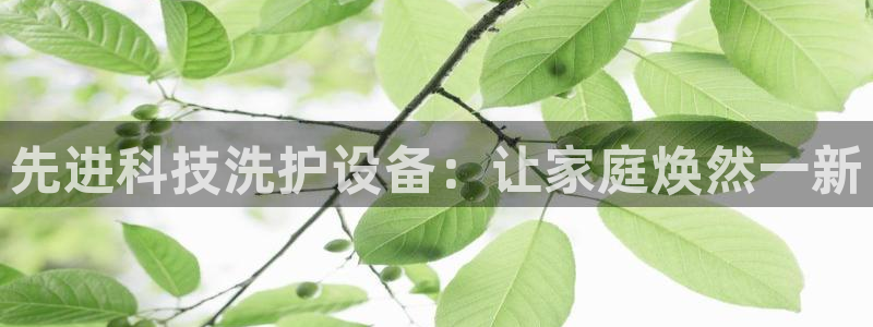 j9九游会首页登录新