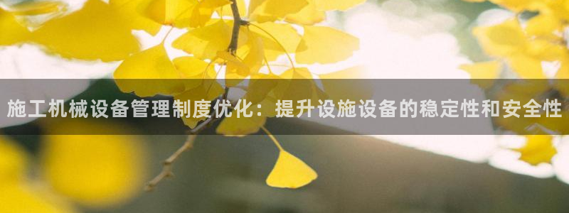 ag变成九游会：施工